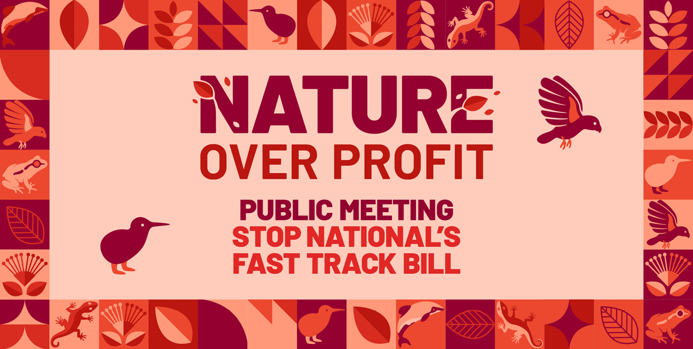 Bold graphic illustrations of a kiwi, Hamilton's frog, kaka, gecko, Maui dolphin and pohutukawa for the NZ Labour Party.