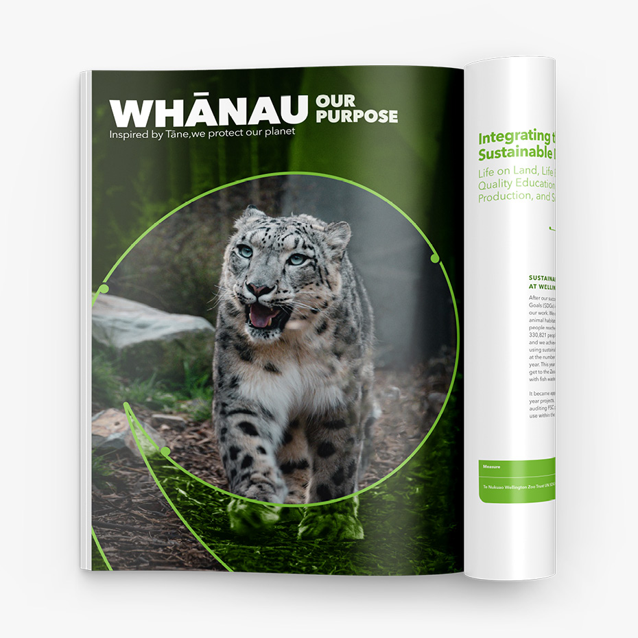 Wellington Zoo's 2024 annual report, including photography of Manju the snow leopard by Bradley Pratt