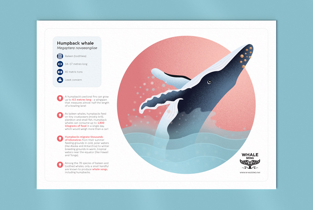The Whale Song children's activity sheet design, illustrated humpback whale