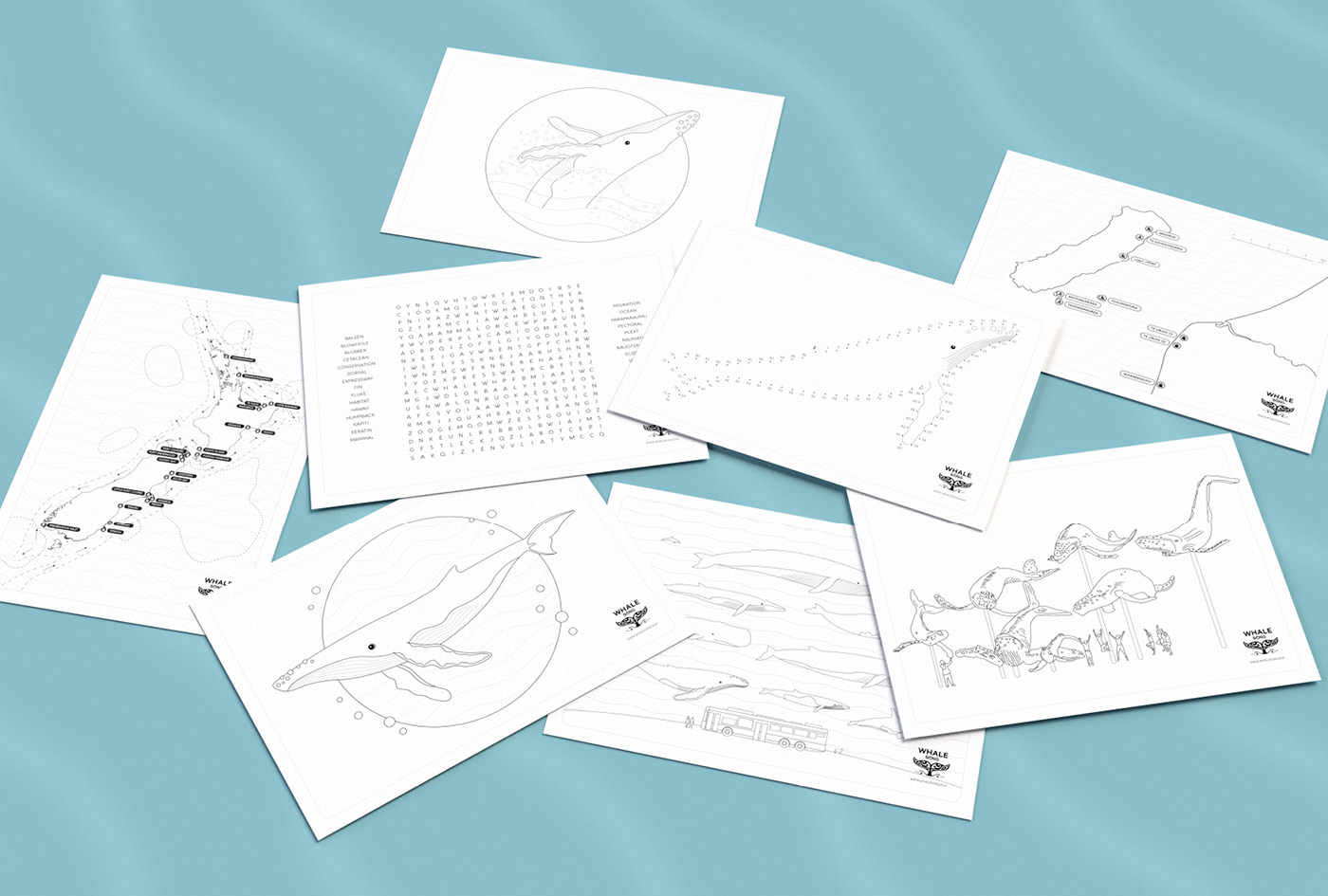 The Whale Song children's activity sheet design, illustrated various colouring-in sheets