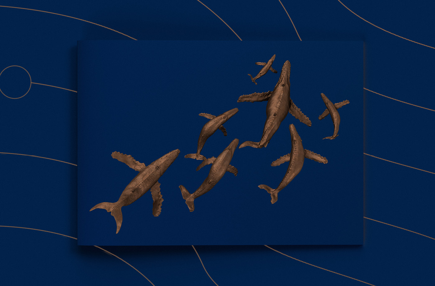 The front cover of the Whale Song Prospectus printed book, including seven bronze humpback whales on a minimalist navy background.