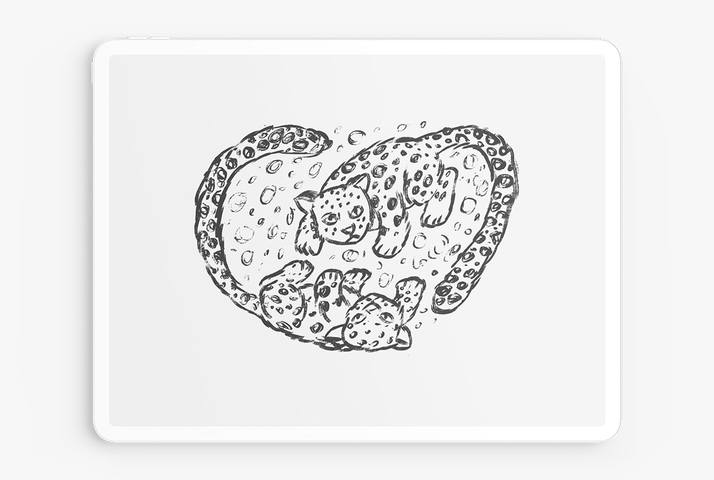 A final illustration of a heart-shaped pair of snow leopards for Wellington Zoo, displayed on an iPad