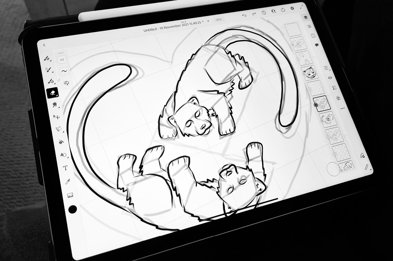 An iPad displaying a work-in-progress final artwork for the Wellington Zoo snow leopard pins
