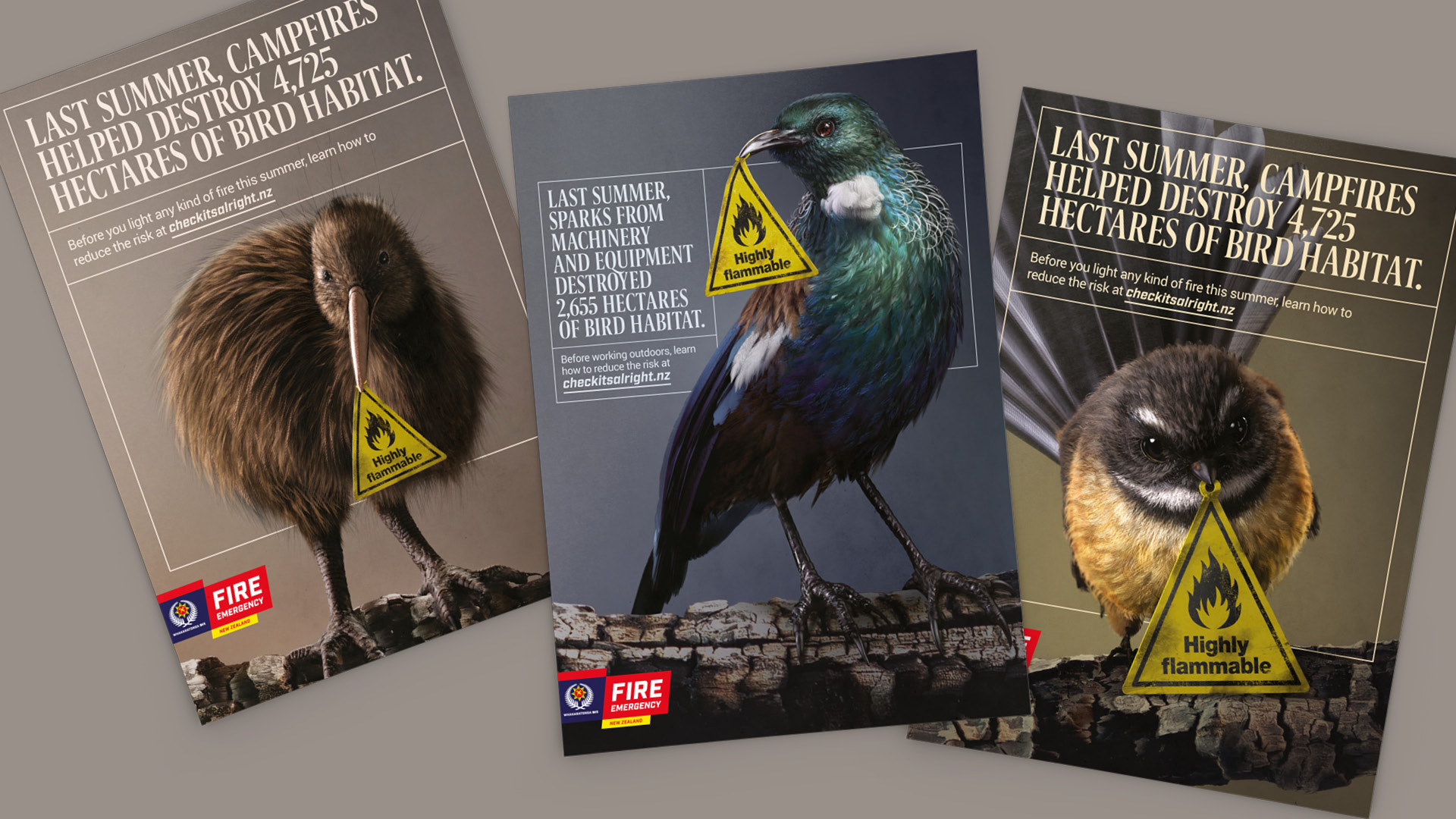 Fire and Emergency NZ 'summer birds' campaign asset designs