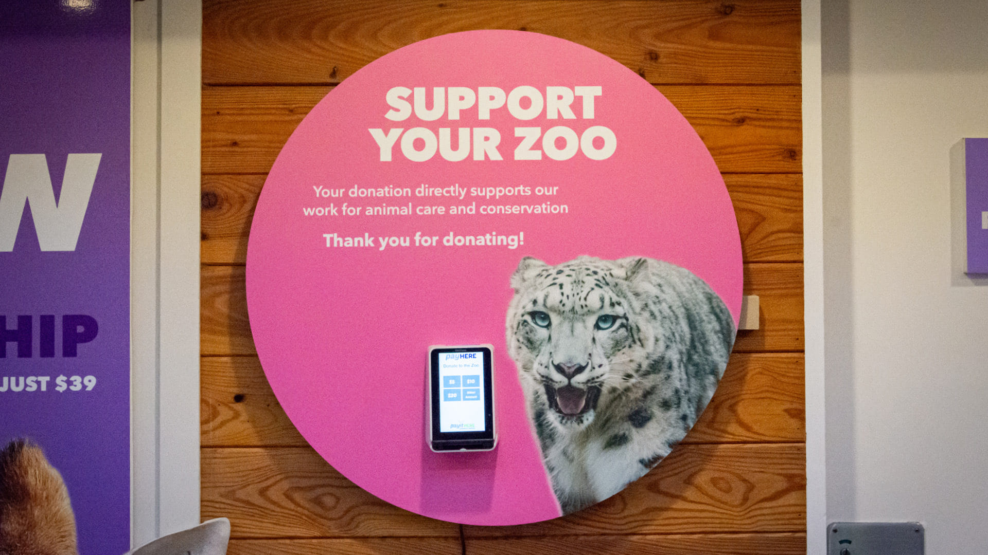 Wellington Zoo's 'support your zoo' donation signage in the main entrance, including photography of Manju the snow leopard by Bradley Pratt