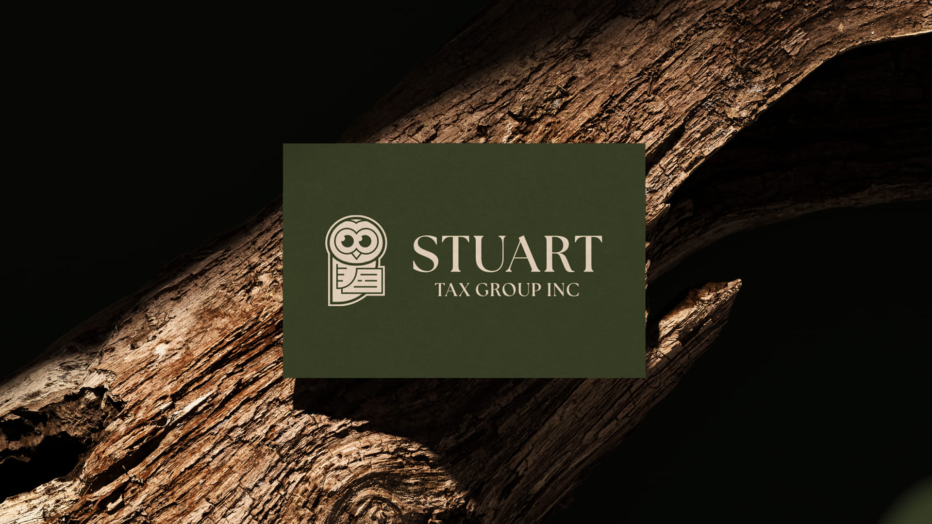 Stuart Tax Group Inc's logo mockup on a tree branch