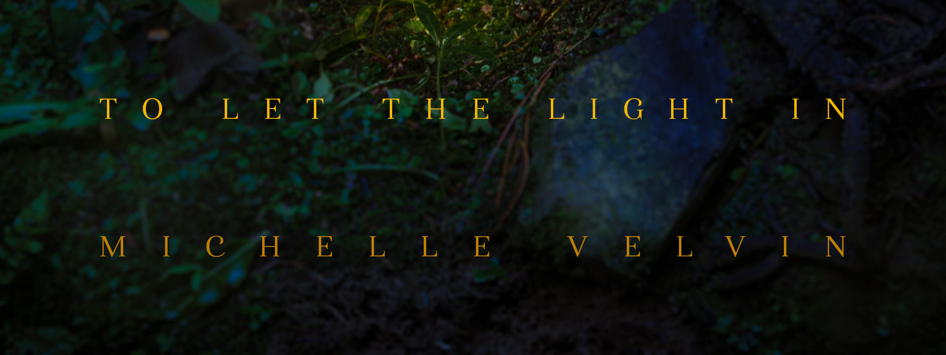 Final photography for Michelle Velvin: "To Let the Light In"