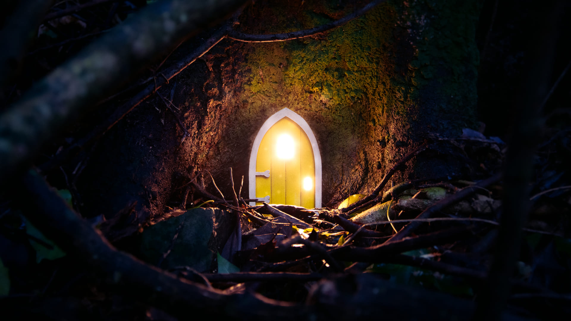 Final photography for Michelle Velvin: "To Let the Light In"